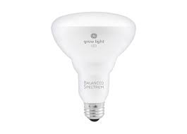 Check spelling or type a new query. The 8 Best Indoor Grow Lights To Help Your Plants Survive Winter