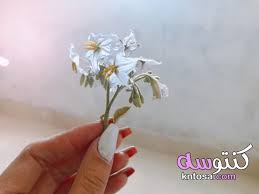 إبن الجنوب تابعت الأسبوع المنصرم ,مسلسل المحاكمة المهزلة التي أذن بها الريس بارليف , لينسينا أننا لازلنا نعاني من فقدان أنبوبة غاز, أصبحت تحت رحمة الكوبون ,و كأننا. ØµÙˆØ± Ø§ÙŠØ¯ Ø¨Ù†Øª Ø±Ù…Ø²ÙŠØ§Øª ÙØªØ§Ù‡ Ù…Ø§Ø³ÙƒÙ‡ ÙˆØ±Ø¯Ù‡ ØµÙˆØ± ÙŠØ¯ Ù…Ø§Ø³ÙƒØ© ÙˆØ±Ø¯Ø© ÙŠØ¯ Ù…Ø§Ø³ÙƒÙ‡ ÙˆØ±Ø¯Ù‡ Ø­Ù…Ø±Ø§Ø¡