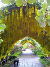 Bayview Farm And Garden In Langley Washington Beautiful Gardens Beautiful Places Plants