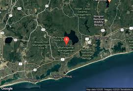 Maybe you would like to learn more about one of these? Best Trails In Burlingame State Park Rhode Island Best Adventures