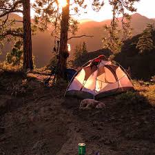 You'll need to book early or browse our other fabulous just 10km north of the sydney cbd, tandara is the ultimate australian bush glamping experience. The Best Camping Spots In Sydney Orbzii