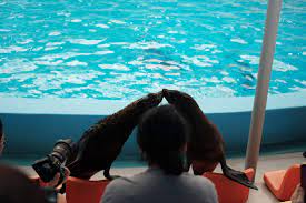 We will update it once travel resumes and places start to reopen. Pengalaman Bercuti Di Phuket Thailand