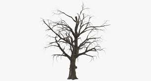 3d Model Old Dead Tree 01 3d Model Tree Silhouette Model