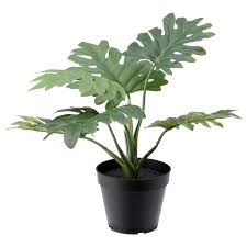 Fejka Artificial Potted Plant Indoor Outdoor Philodendron Leaf Ikea In 2020 Artificial Potted Plants Plants Artificial Plants