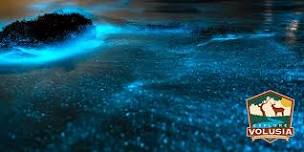Bioluminescence Paddle