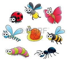 Bug E Una Lumaca Divertente Cartone Animato E Vettoriale Isolato Caratteri Cartone Animato Arte Stravagante Disegnare Animali