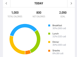 Daily Calorie Breakdown By Ryan Myers On Dribbble