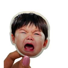 Custom Photo Magnet, Personalized Fridge Magnet, Photo Print Magnet,  Personalized Photo Magnet