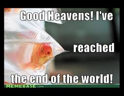Funny Meme S About The End Of The World Photos Abc News