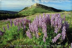 In 2010, about 230 million, or 80% of the population aged five years and older, spoke only english at home. Only The Best Native American Indian Quotations Modern Traditional Words Of Guidance
