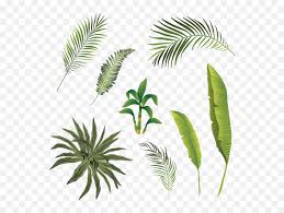 Download Tropical Branch And Leaves Collection Watercolor Palm Svg Png Hojas Png Free Transparent Png Images Pngaaa Com
