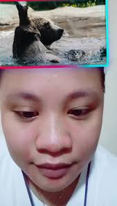 Kris Dizon (@krisdizon5)