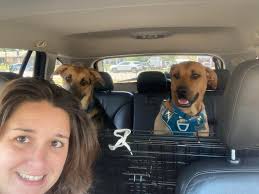 Hello group! My name is Isabel. I studied Biology and Aux of Pharmacy. I  was working with kids from 4 to 17 years as a biologyst teaching about  medicinal plants, animals and