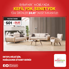 evimpark mobilya koltuklar dekorasyon