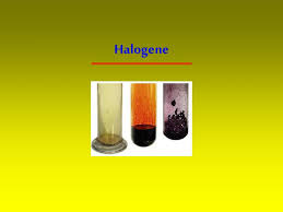 Wo stehen sie im periodensystem? Ppt Halogene Powerpoint Presentation Free Download Id 3318965
