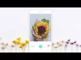 This app has thousands of plants and flowers in. Perfect Android App To Identify Flowers And View Plants Plant Identification Identify Plant