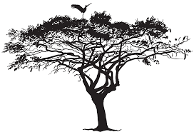 Image result for tree limbs, branches and leaves silhouette