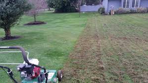 Most of the time, a little bit of thatch in your lawn is actually a good thing as it facilitates the uptake of water and nutrients. Dethatching Vancouver Wa Urban Eden Landscaping