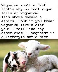Love Animals Dont Kill Them Why Vegan Vegan Facts Vegan Quotes