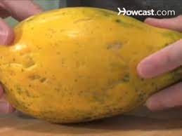 We did not find results for: How To Tell If A Papaya Is Ripe Youtube