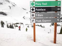 Tolak kenaikan iuran ipl gunung putri square di masa pandemi oleh bumn pt pp properti tbk. Jalan Jalan Ke Vancouver Kota Hujan Di Ujung Barat Kanada Kumparan Com