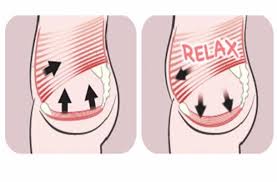 Simple Strategy To Relax Your Pelvic Floor Muscles Ease Your Piso Pelvico Rutinas De Entrenamiento Anatomia Humana
