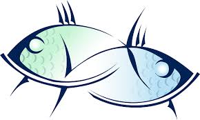 Try to be careful with your words and be supportive of the cancer person in your life. The Fundamental 6 Pisces Traits Explained