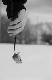 Masih aku simpan dalam gelas berisi air. Gambar Bunga Hitam Layu Gambar Bunga