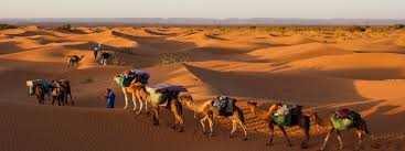 Morocco is an arabic speaking country. Camel Trek Morocco Morocco Desert Tours Sahara Desert Camp