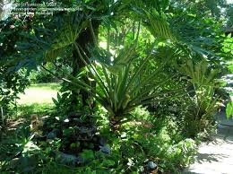 Pin On Outdoor Inspiration