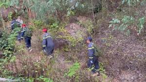 Tìm thấy thi thể nam thanh niên mất tích khi leo núi ở Nha Trang - Tuổi Trẻ  Online