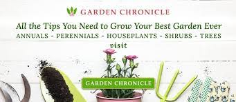 Vegetable Crop Yields Plants Per Person And Crop Spacing Harvest To Table Seed Germination Small Vegetable Gardens Summer Vegetables Garden
