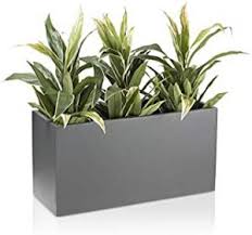 Les Meilleures Jardinieres Rectangulaires De 100 Cm Test Et Comparatif Pas cher grand choix droit de retour sous 30 jours. rectangulaires de 100 cm