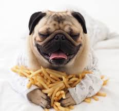 No, dogs do not need french fries to remain healthy. Cancer Causing Chemicals In Pet Food Danger Ignored In Fda Acrylamide Update Poisoned Pets Pet Food Safety News