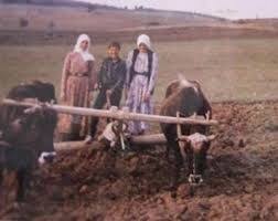 Harman Yeri Resmi Tarim Insan Tablolar