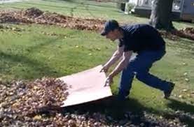 This Genius Leaf Raking Hack Changes Everything Raking Leaves Raking Diy Backyard