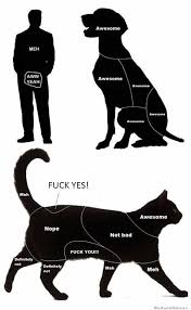 Petting Chart For Dogs Cats And Hooman Imgur