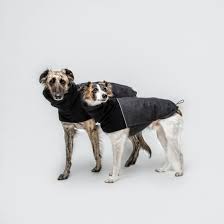 Dog Coat Oxford Flannel Anthra Hunde