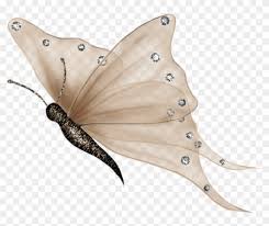 Maybe you would like to learn more about one of these? Butterfly Png White Clipart Butterfly Png White Transparent Png 1111x870 1038087 Pngfind