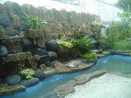 Penggemar ikan koi pastinya ingin memberikan yang terbaik untuk ikan peliharaan agar dapat tumbuh sehat dan kabar baiknya, anda bisa membuat filter sederhana di rumah sehingga bisa menghemat biaya tertarik untuk membuat kolam untuk ikan koi anda? Cara Membangun Kolam Ikan Minimalis Homify