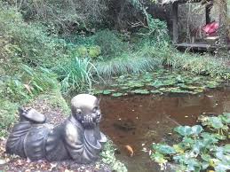 Découvrez les horaires, comment s'y rendre, comparez les prix, réservez et regardez les photos et expériences. Le Jardin Les Bambous Du Mandarin Montauroux 2021 All You Need To Know Before You Go With Photos Tripadvisor