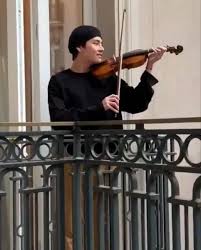 Sfia999 Violino