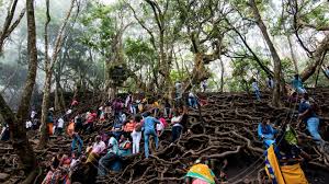 The Ultimate Guide to Guna Caves ...