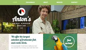 Exotic pet shops around me. Pet Store Website Template Wix