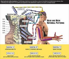 Pin On Neck Pain Cervical Spine Instability Treated Without Drugs Or Surgery