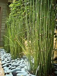 You can also do this project quite simply with sturdy branches. 70 Bamboo Garden Design Ideas How To Create A Picturesque Landscape