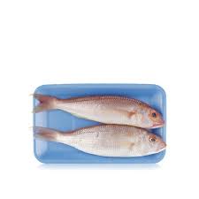 Fresh local sultan ibrahim fish size : Spinneysfood Uae Sultan Ibrahim Spinneys Uae