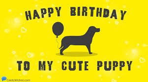 Happy Birthday Puppy Cute Wishes For A Cute Dog