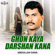 Sana Abdullah's Instagram, Twitter & Facebook