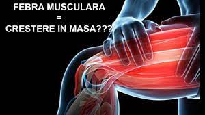 Care e temperatura normală a corpului. Febra Musculara Crestere In Masa Musculara Youtube
